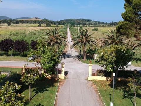Terrein - Piombino