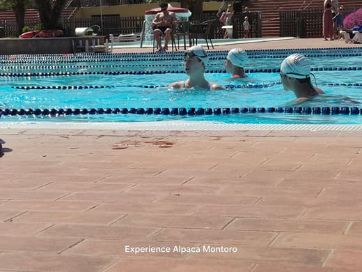 Training at a serious level - ExpertSwimCamp