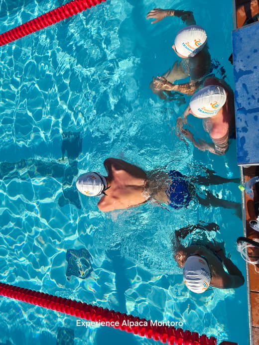 Training at a serious level - ExpertSwimCamp