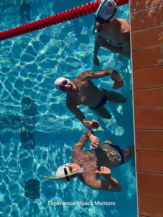 Training at a serious level - ExpertSwimCamp