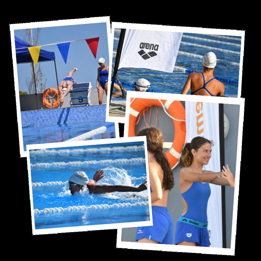 Swimmers in action — racing dives and lanes